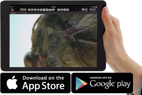 ������ѧ����������� Leica AirLab App